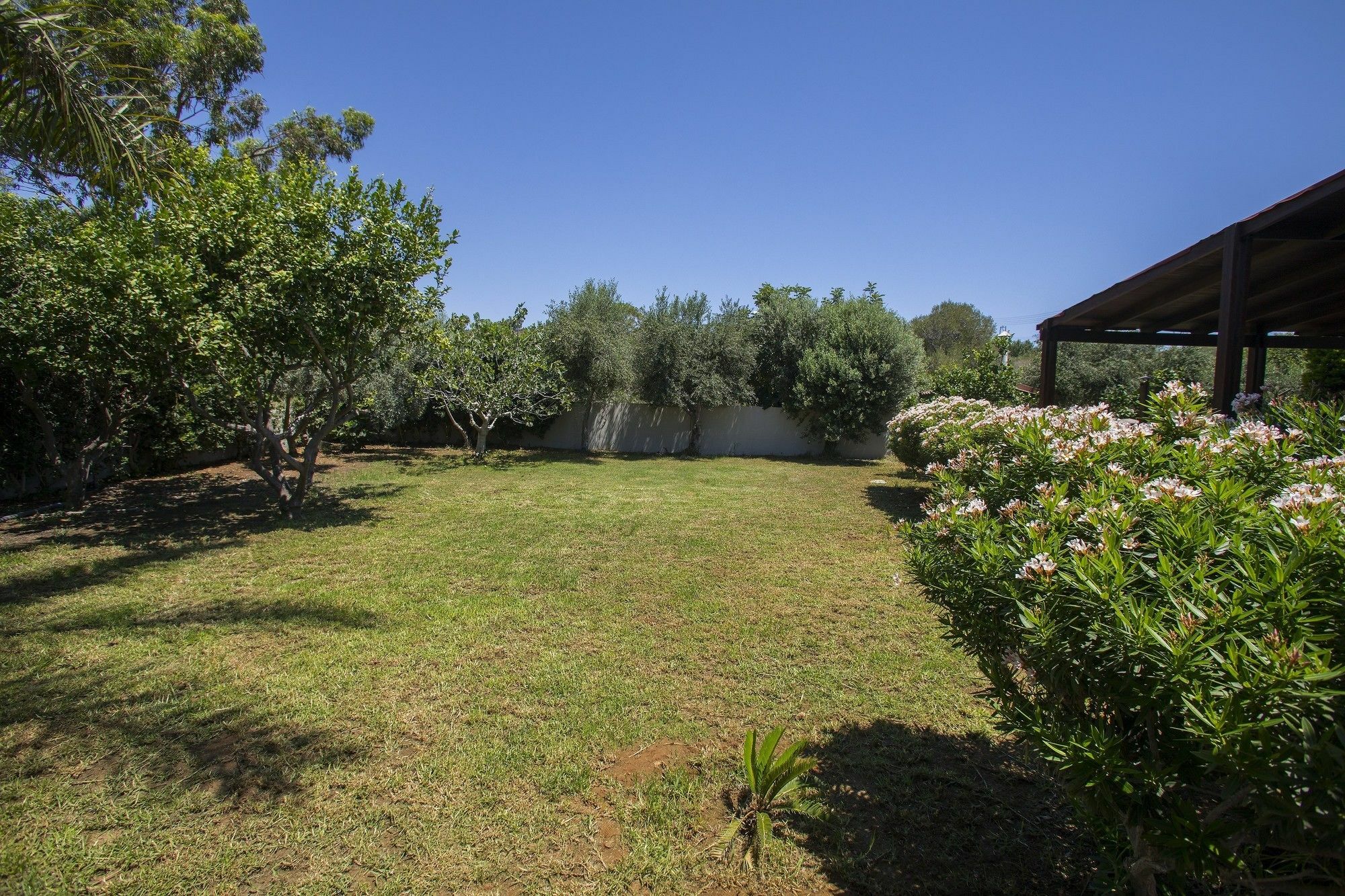Ayia Napa Villa Magnolia Екстер'єр фото